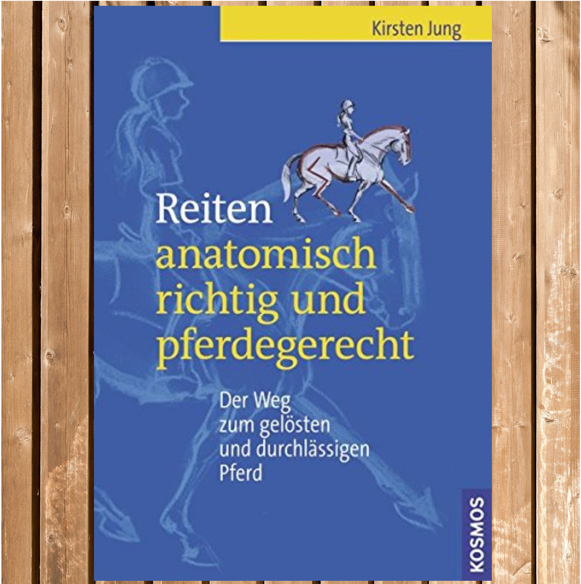 Reiten anatomisch richtig und pferdegerecht